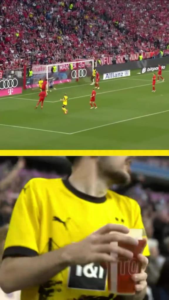 勇者無(wú)懼！這是真多特球迷！在拜仁球迷區(qū)一個(gè)人肆意慶祝！